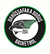 Darüşşafaka Basketbol